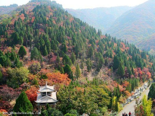 苏州苏州拆除公司